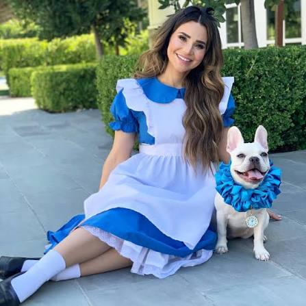 alice in wonderland and white rabbit dog halloween costume