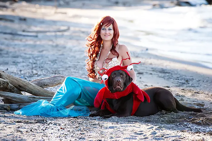 ariel mermaid and sebastian crab dog halloween costume