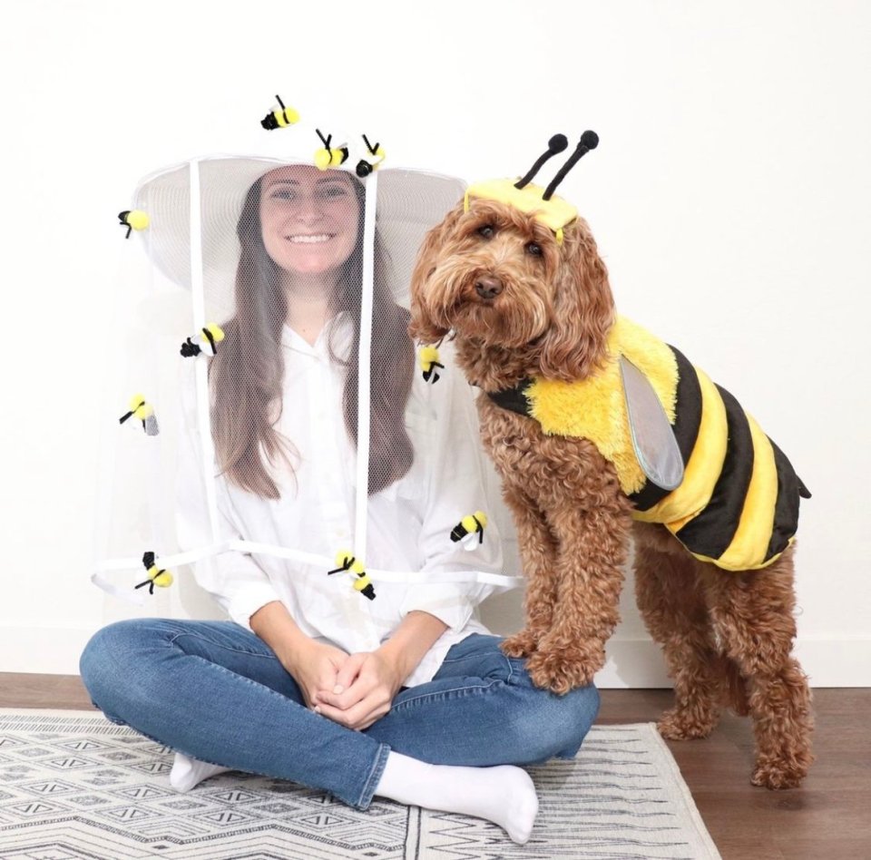 bee and beekeeper halloween dog costume