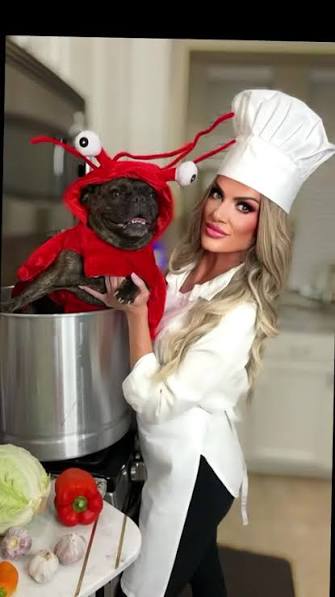 chef and lobster dog halloween costume