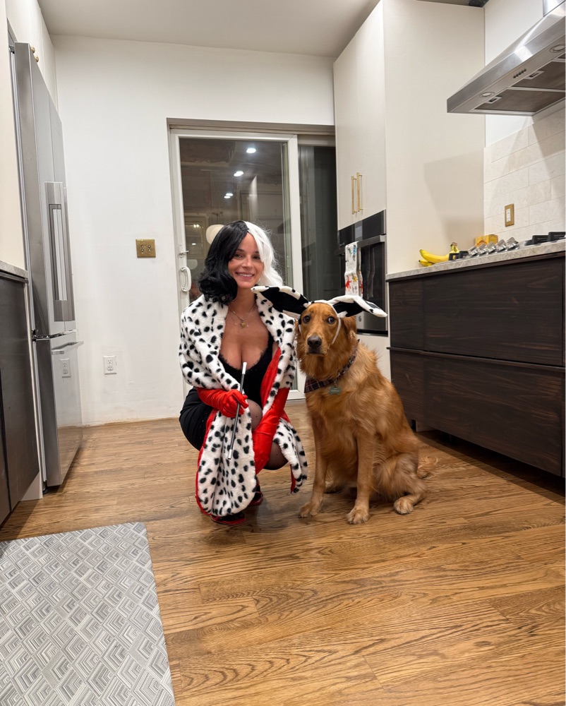 cruella deville easy dog halloween costume