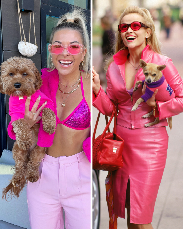 elle woods bruiser dog halloween costume