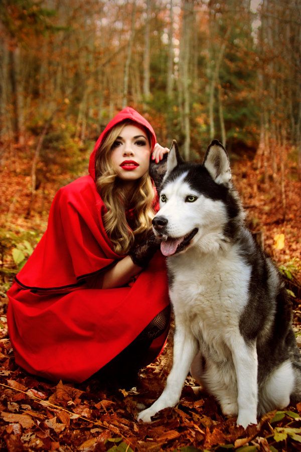 little red riding hood big bad wolf easy halloween dog costume