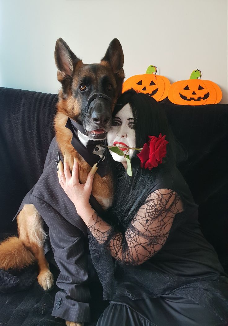 morticia and gomez addams easy dog halloween dog costume