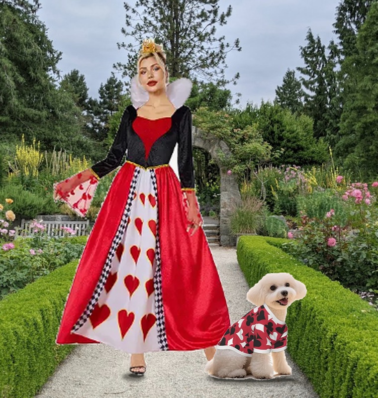 queen of hearts halloween dog costume