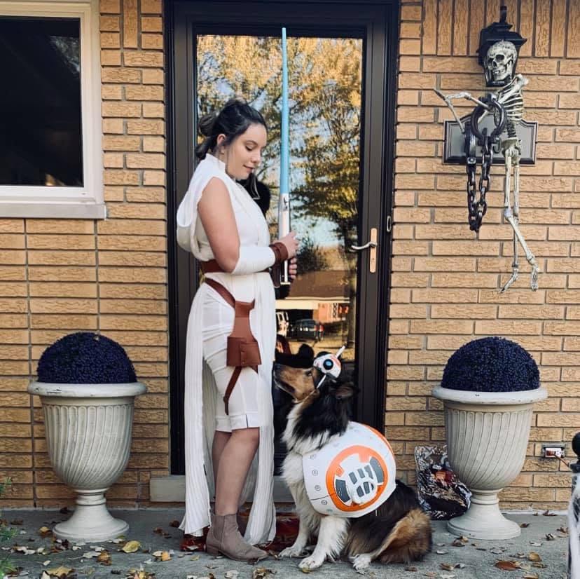 rey bb8 dog halloween costume