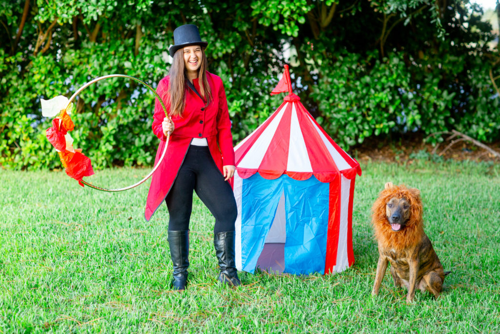 ringmaster and lion halloween dog costume