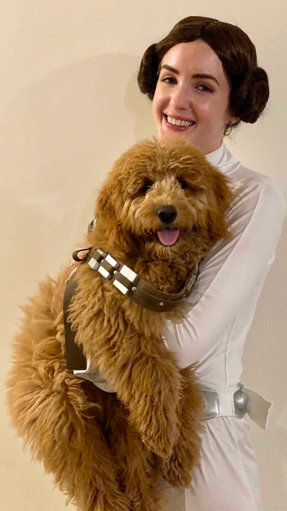 starwars dog costumes prince leia and chewbacca halloween