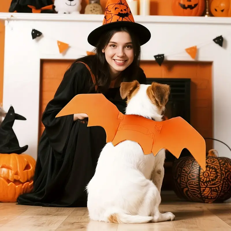 witch and bat easy dog halloween costume